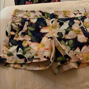 J crew shorts